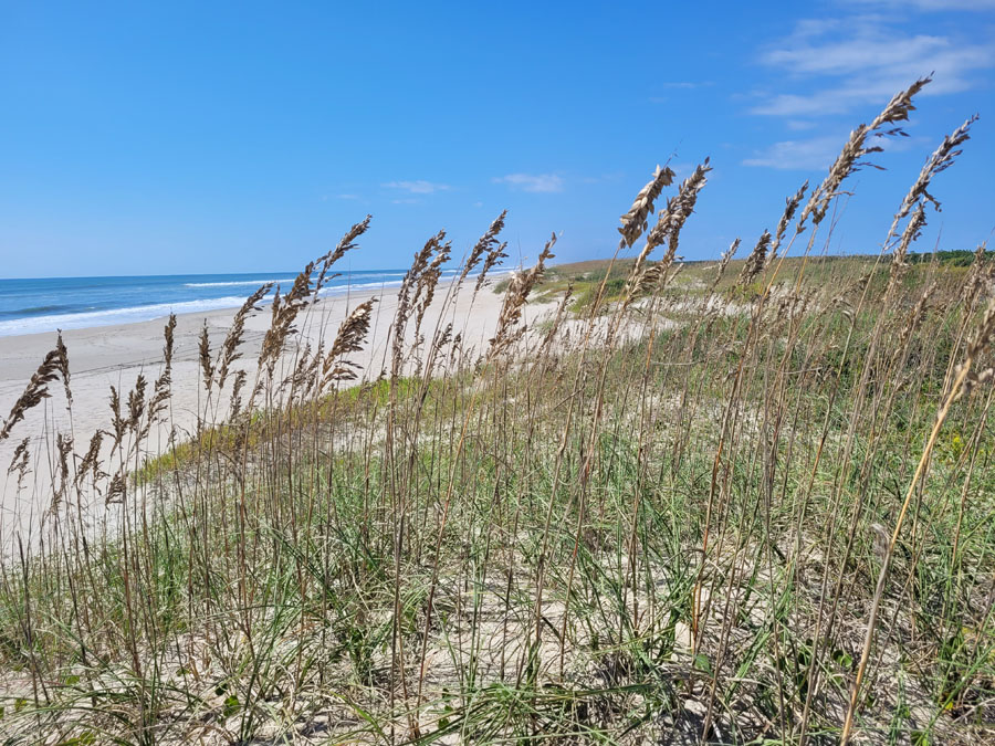 OcracokeBeach